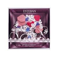 ESTEBAN クール ド パリ ギャレ&ディッシュ