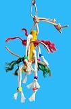 Zoo Max DUS80A Dusty Jr Bird Toy