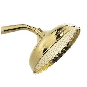 Pegasus 10 In. Traditional Can Style Showerhead in Polished Brass B61461PBV