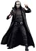Harry Potter and the Order of the Phoenix NECA 7 Inch Series 2 Action Figure Death Eater [Silver Mask]