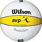 Wilson 2008 Official AVP Game Ball