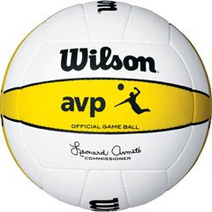 Wilson 2008 Official AVP Game Ball