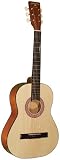 Indiana Colt 36 Steel String Guitar with Gig Bag