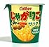 カルビー じゃがりこ サラダ 60g