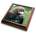 Birds - Golden Eagle - Trivets
