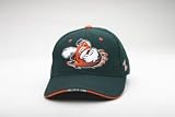 Miami Hurricanes Gamer Adjustable Dark Forest Cap