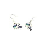 Seattle Seahawks NFL Helmet Dangle Earrings