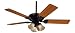 314Z2%2ByXIiL. SL75  Rustic and Outdoor Ceiling Fan Light Kit in Old Iron with Light Rattan Shade
