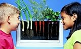 ROOT-VUE FARM