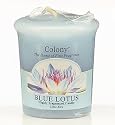 Duftkerze - Blue Lotus (Blaue Lotusblume)