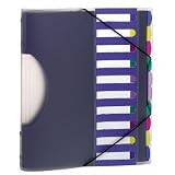 ESS50995 Project Sorter,10 Dividers,Removable Index,Letter,Multicolor