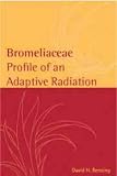 Bromeliaceae: Profile of an Adaptive Radiation