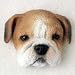 Refrigerator Magnets - Bulldog