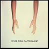 Image of album by Spoon