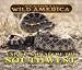 Regional Wild America - Unique Animals of the Southwest (Regional Wild America) by Tanya Lee Stone