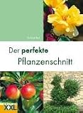 Der perfekte Pflanzenschnitt