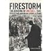 Firestorm: The Bombing of Dresden 1945