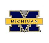 Alfred Hitch Cover 10054 Hitch Cover Wolverines M