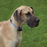 Intellipet In-Ground Electronic Fence System Collar- 14 to 24 neck size