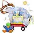 Kara Nessian Personalized "Safari Expedition" Radio Flyer Baby Wagon