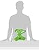 Puppia Soft Dog Harness No Choke Over-The-Head Triple Layered Breathable Mesh Adjustable Chest Belt and Quick-Release Buckle, Green, X-Large