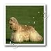 cocker_spaniel33cocker spaniel - Cocker Spaniel 10x10 Iron On Heat Transfer For