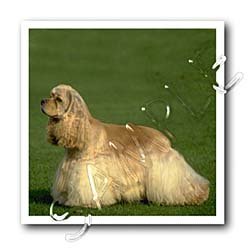 image link - - B000LJOAFG