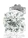 Jewelry : Mens 14k White Gold SINGLE Half-Pair Solitaire Diamond Stud Earring (GH, SI-I, 0.17 carat)