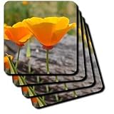 inspirational orange poppies - Set Of 4 Ceramic Tile Coasters
