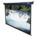Electronics : Elite Manual Pull Down Screen (1:1)