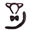 Animal Ears | Instant Fur Cat Set