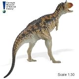 Carnegie Collection: Carnotaurus