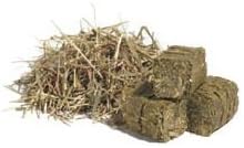 Exotic Island Pets Timothy Hay Cubes Food 1lb Bag