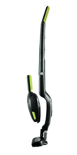 Electrolux Ergorapido Ultra Green 2-in-1 Stick Vac