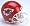 NFL Pro Line Helmet (EA)