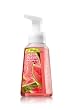 フォーミングハンドソープ フレッシュピックドウォーターメロン(Anti-Bacterial Gentle Foaming Hand Soap Fresh Picked Watermelon)