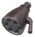 Speakman SD-02-ORB Anystream Showerhead, Oil Rubbed Bronze