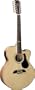 Alvarez  AJ418C-12Artist Series Jumbo Acoustic-Electric Guitar, 12 String