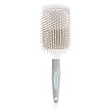 Metropolis Ionic Paddle Brush