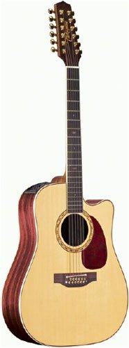 Childrens Toyshop  Musical Instruments : Takamine EF400SC Dreadnought Cutaway 12-String Acoustic-Electric Guitar