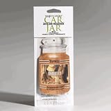 Review Yankee Candle Company  / Yankee Leather Car Jar Air Freshener