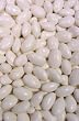 Grecian Imports Brand - Jordan Almonds - Fine (Regular Grade) - White - Polished (shiny) 1 pound