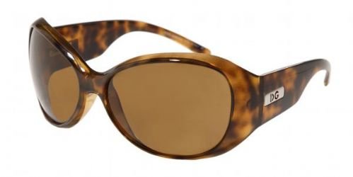 Authentic Dolce Gabbana Sunglasses 6041 HAVANA BROWN 50233