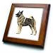 Dogs Norwegian Elkhound - Norwegian Elkhound - Framed Tiles