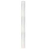 Watts 202104 10-Inch 20-Micron for Multi-Cartridge Whole House Water Filter