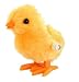 Wind Up Fuzzy Chick