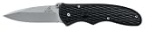Gerber 22-47162 Fast Draw Spring Assisted Opening Stainless Steel Fine Edge Knife
