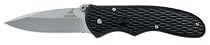 Gerber 22-47162 Fast Draw Spring Assisted Opening Stainless Steel Fine Edge Knife