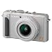 Photo : Panasonic DMC-LX3S 10.1MP Digital Camera with 2.5x Wide Angle MEGA Optical Image Stabilized Zoom (Silver)