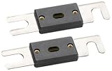 Directed Electronics 63100 Anl Fuse (100 Amp)
